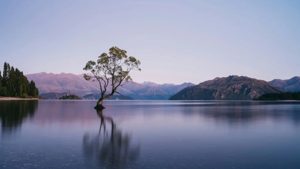 Hero immagine categoria